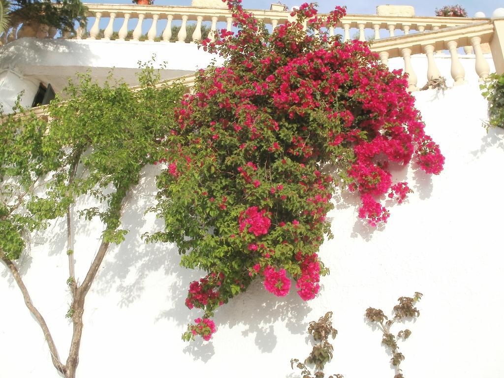 كورفو Oniro Villas المظهر الخارجي الصورة